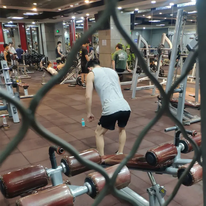 本案例研究记录了在真实环境条件下，应用于无窗室内健身设施的光纤日光照明系统（Dayluxa配置）的性能、限制和运行局限性。